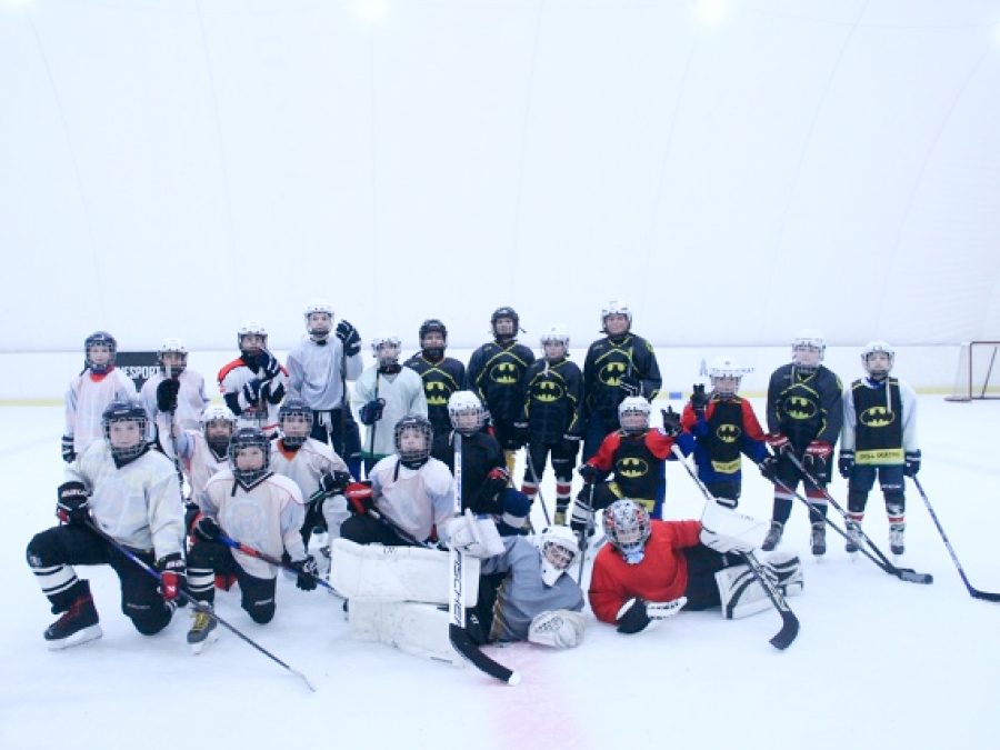 🏒