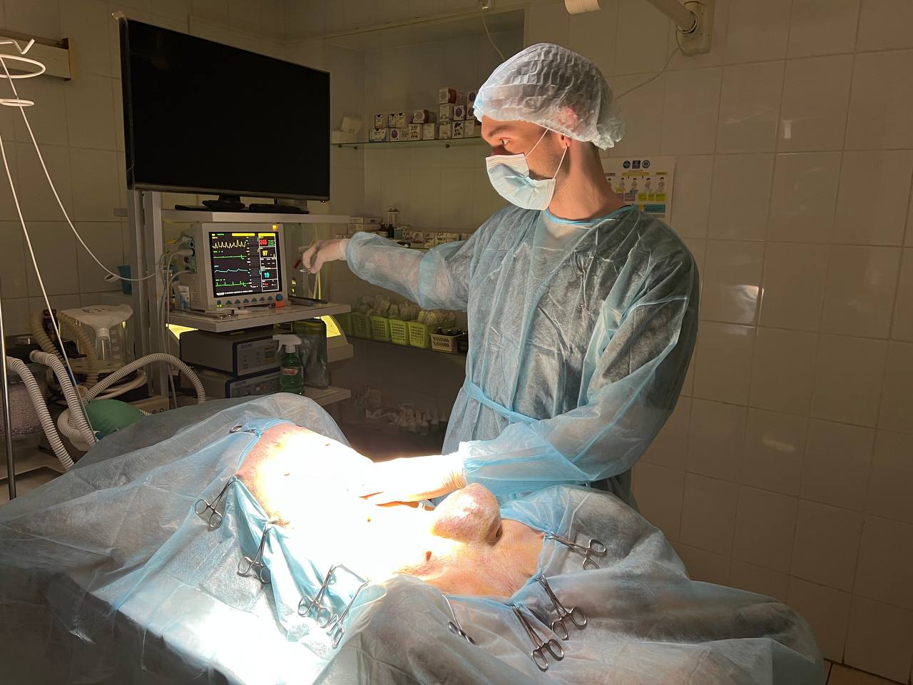 Работа с питомцами