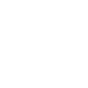 website icon