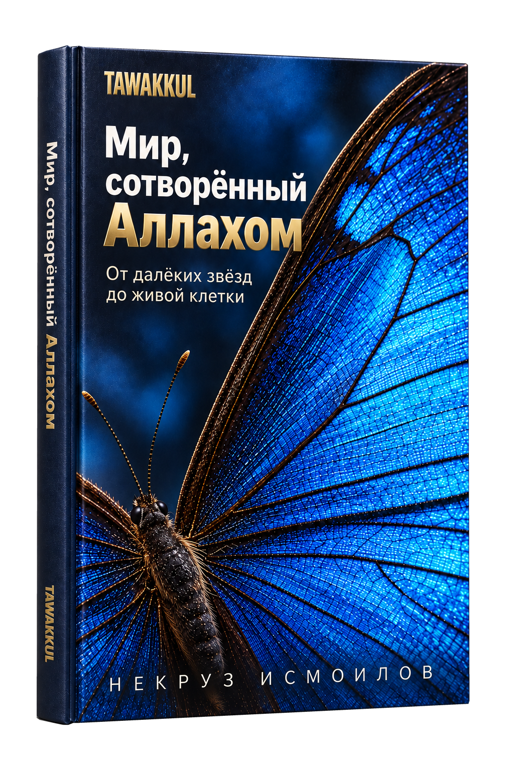 Мир, сотворённый Аллахом