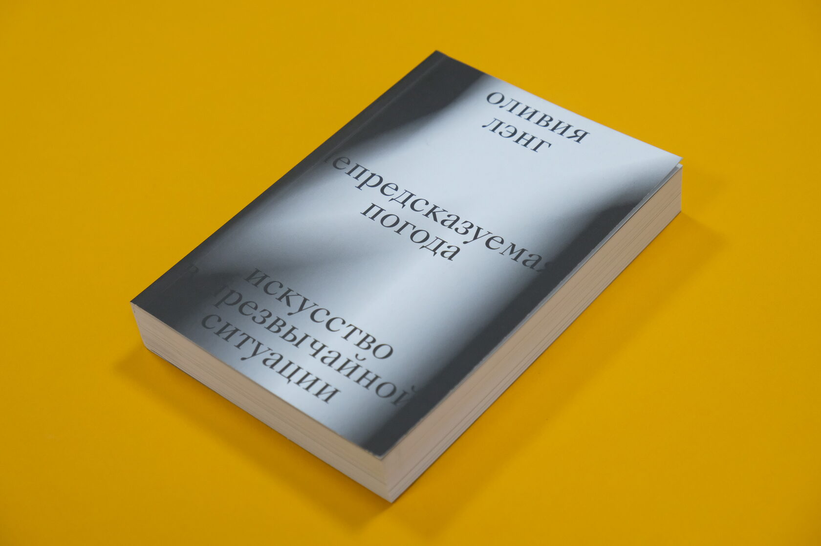 Оливия Лэнг «Непредсказуемая погода. Искусство в чрезвычайной ситуации»