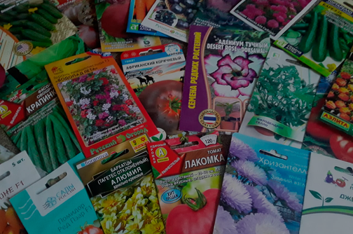 Семена Тут | Пакетированные семена для торговли