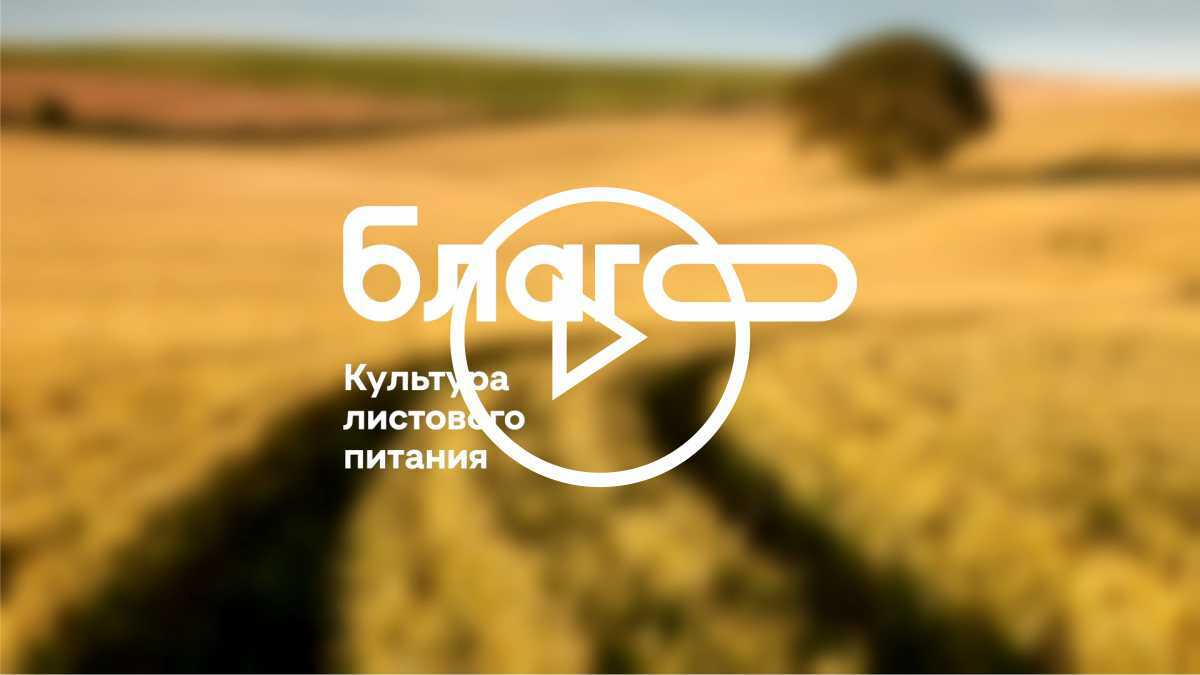 БЛАГО это крепкая компания и крепкая команда!