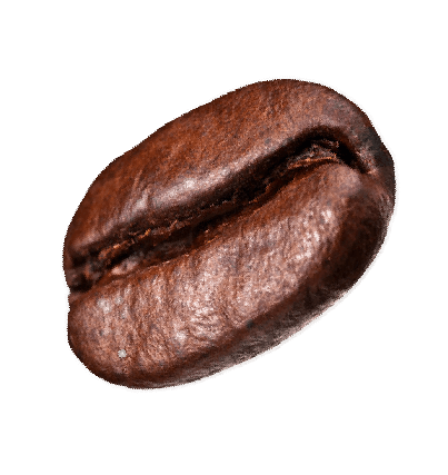 Organic Coffee Evalar: все товары из серии