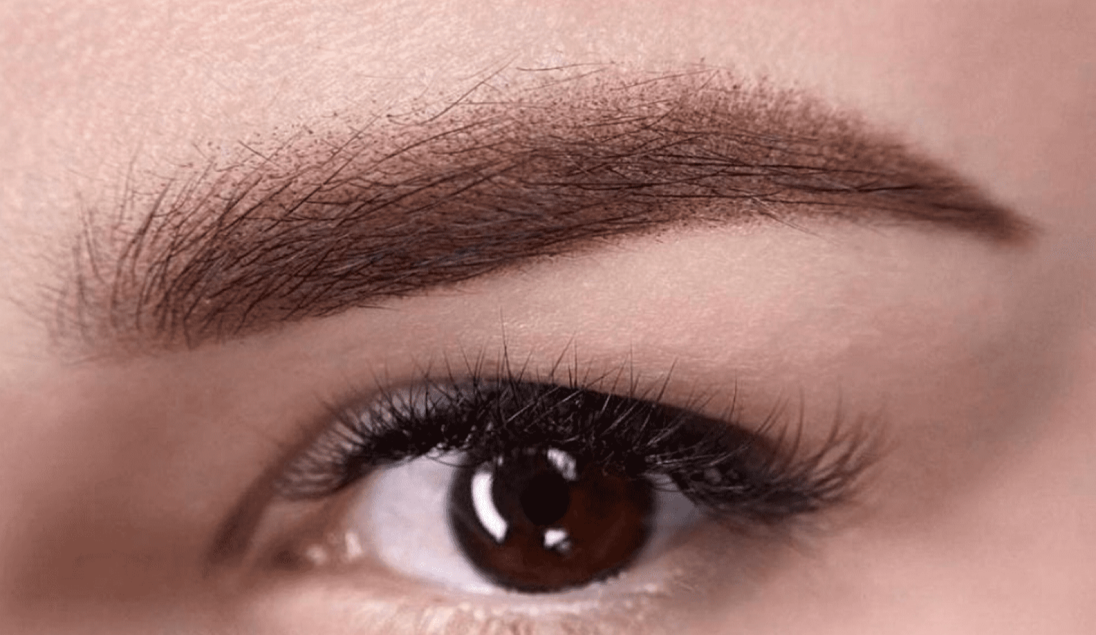 Brown eyebrows correction