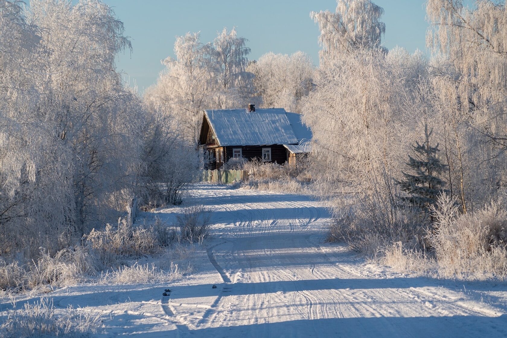 Вепсский лес НГ