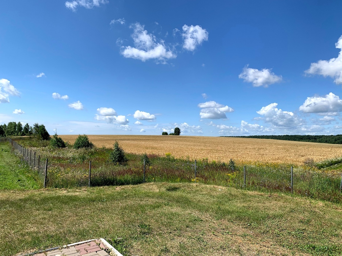 Пейзажи вдоль трассы M4