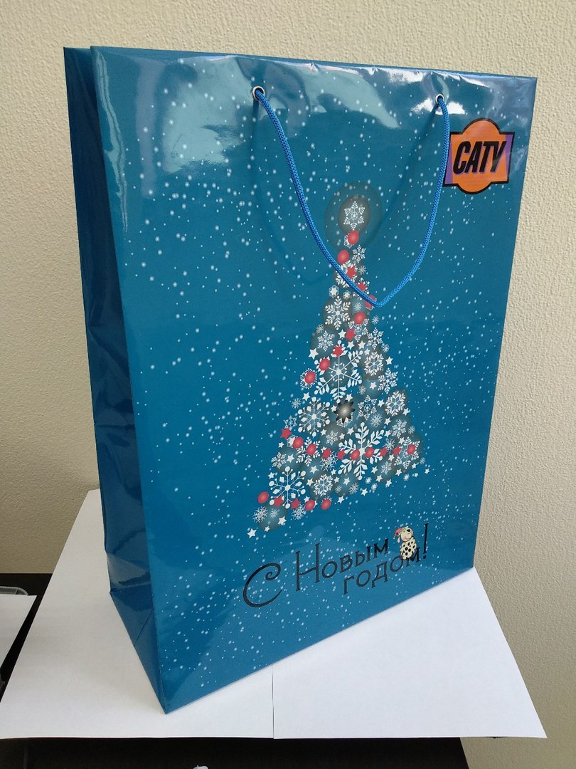 Изготовление бумажных пакеты с логотипом на заказ. Производство и ...