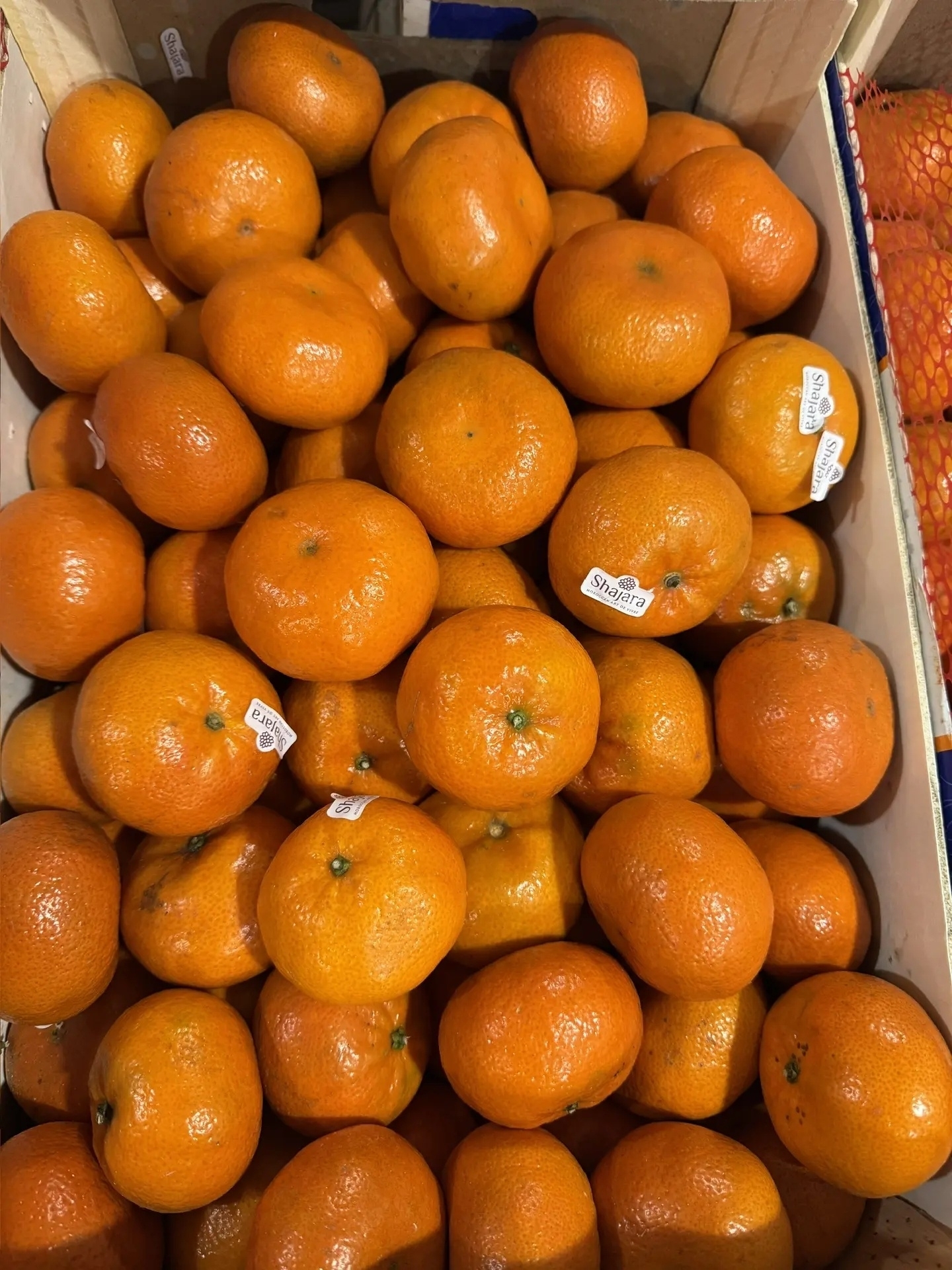 Купить мандарины из Марокко 