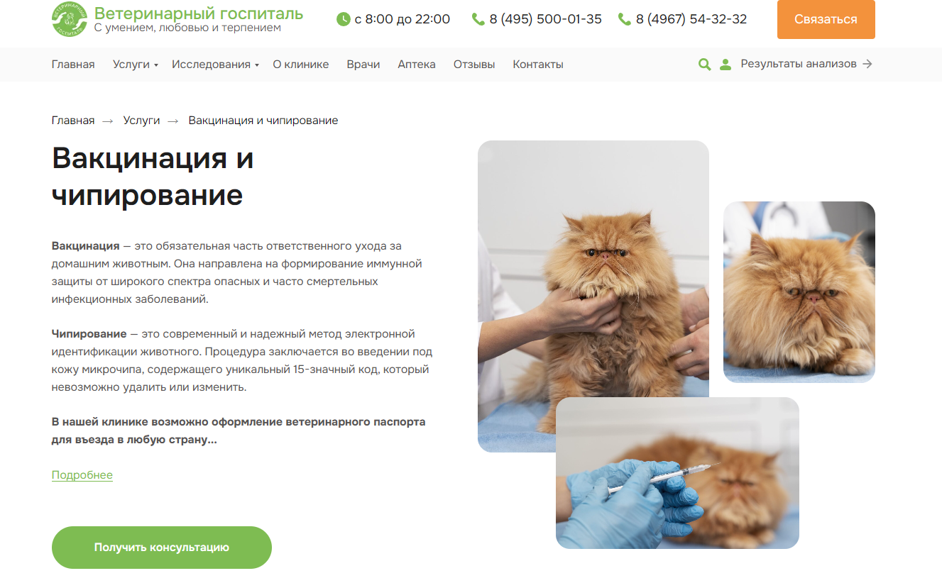 Архитектура сайта ветеринарной клиники