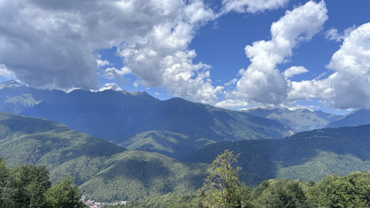 Алоха