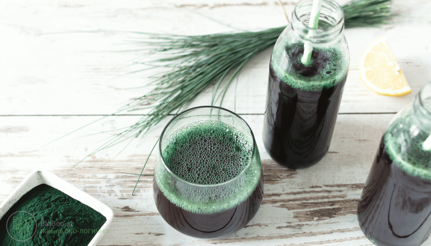 Водоросль хлорелла. Полезные свойства хлореллы для человека. Действие ...