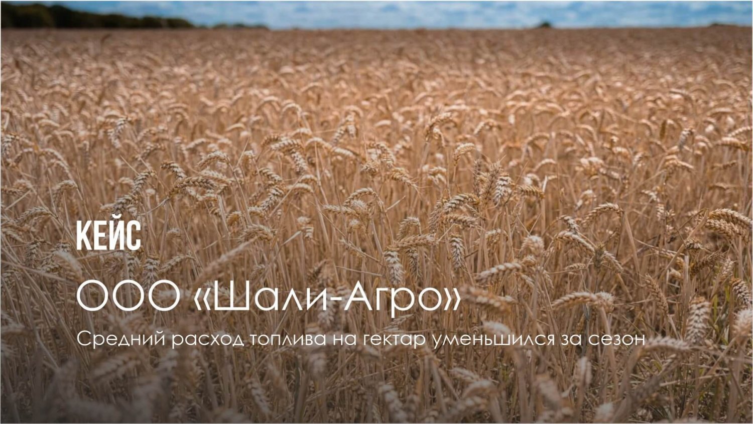 Шали-Агро