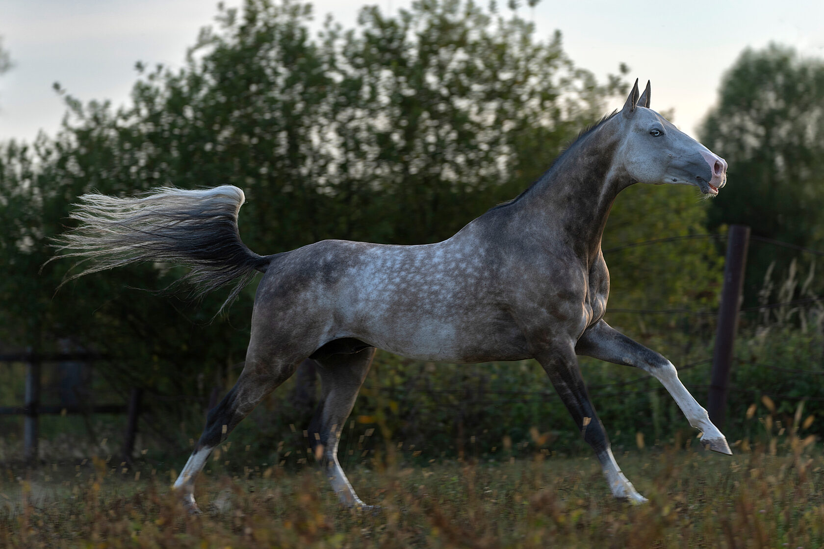 Архангельскідегі жезөкшелер Архангельскідегі жезөкшелер