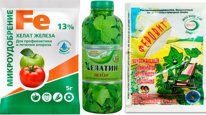 Препараты от хлороза