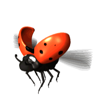 национальные продукты kula соусы кетчуп аджика