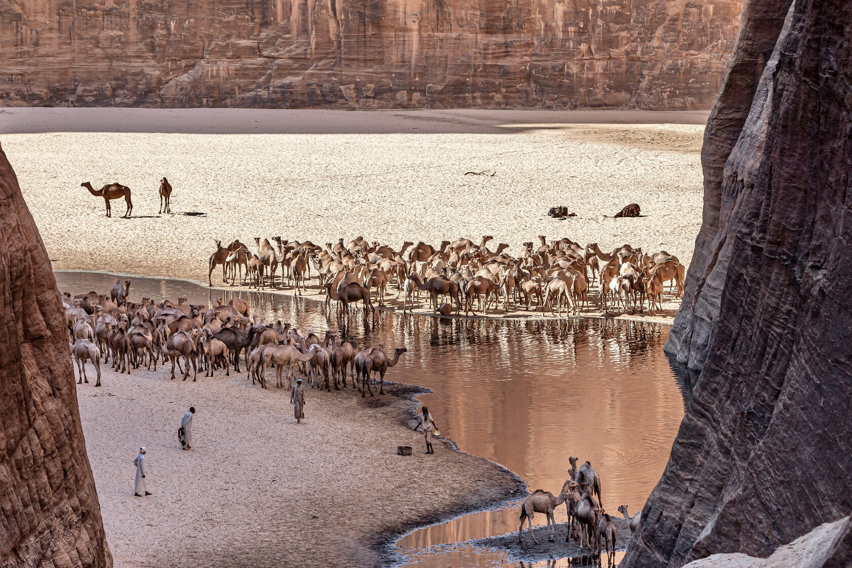 Экспедиция в Сахару 2024. Чад. Экспедиция на джипах в Сахару с MZUNGU ...