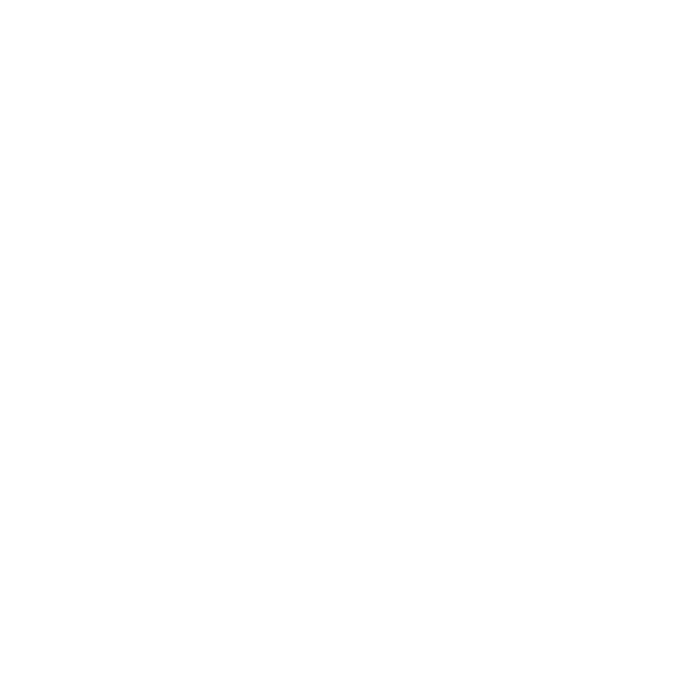  РУЛИ НОГАМИ 