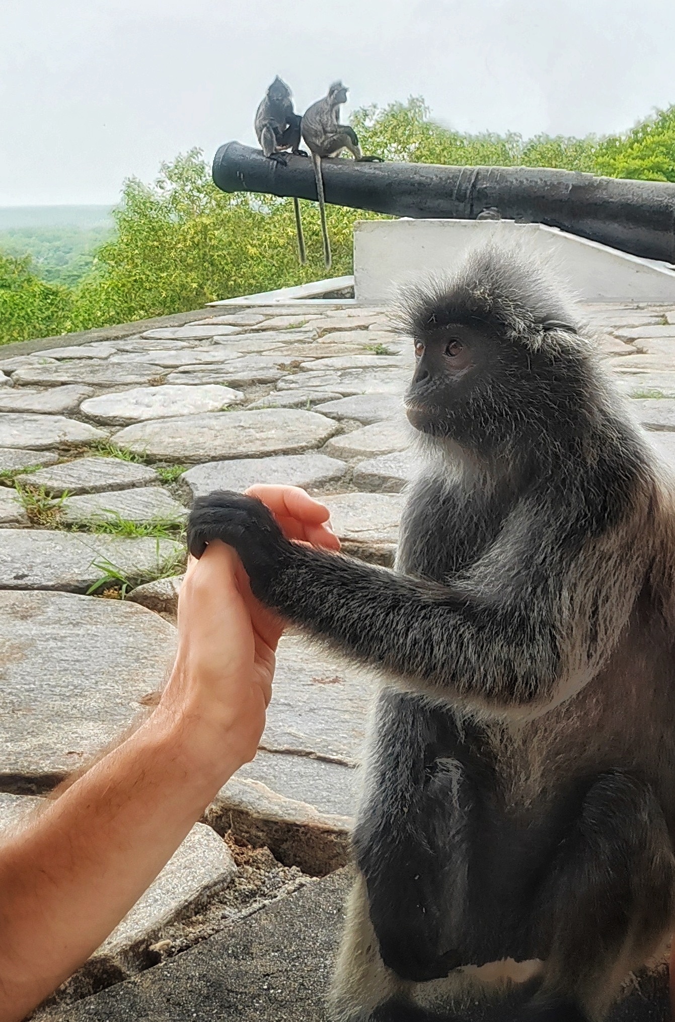 путешествие в Малайзию