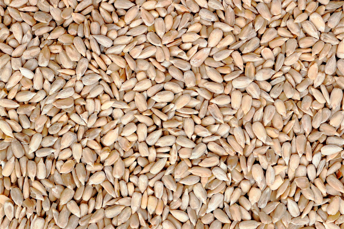 Барнаульская Халвичная фабрика