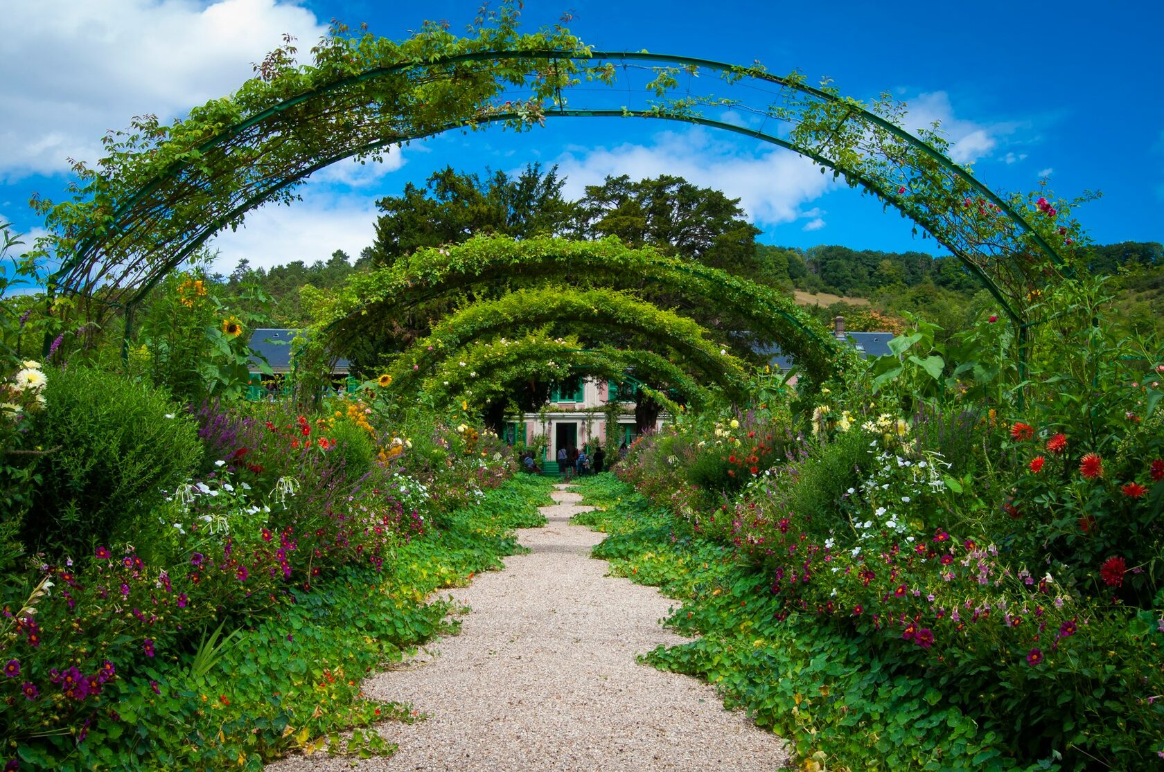 Lush Giverny-style garden with wisteria and water lilies