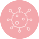 Вирусы и бактерии