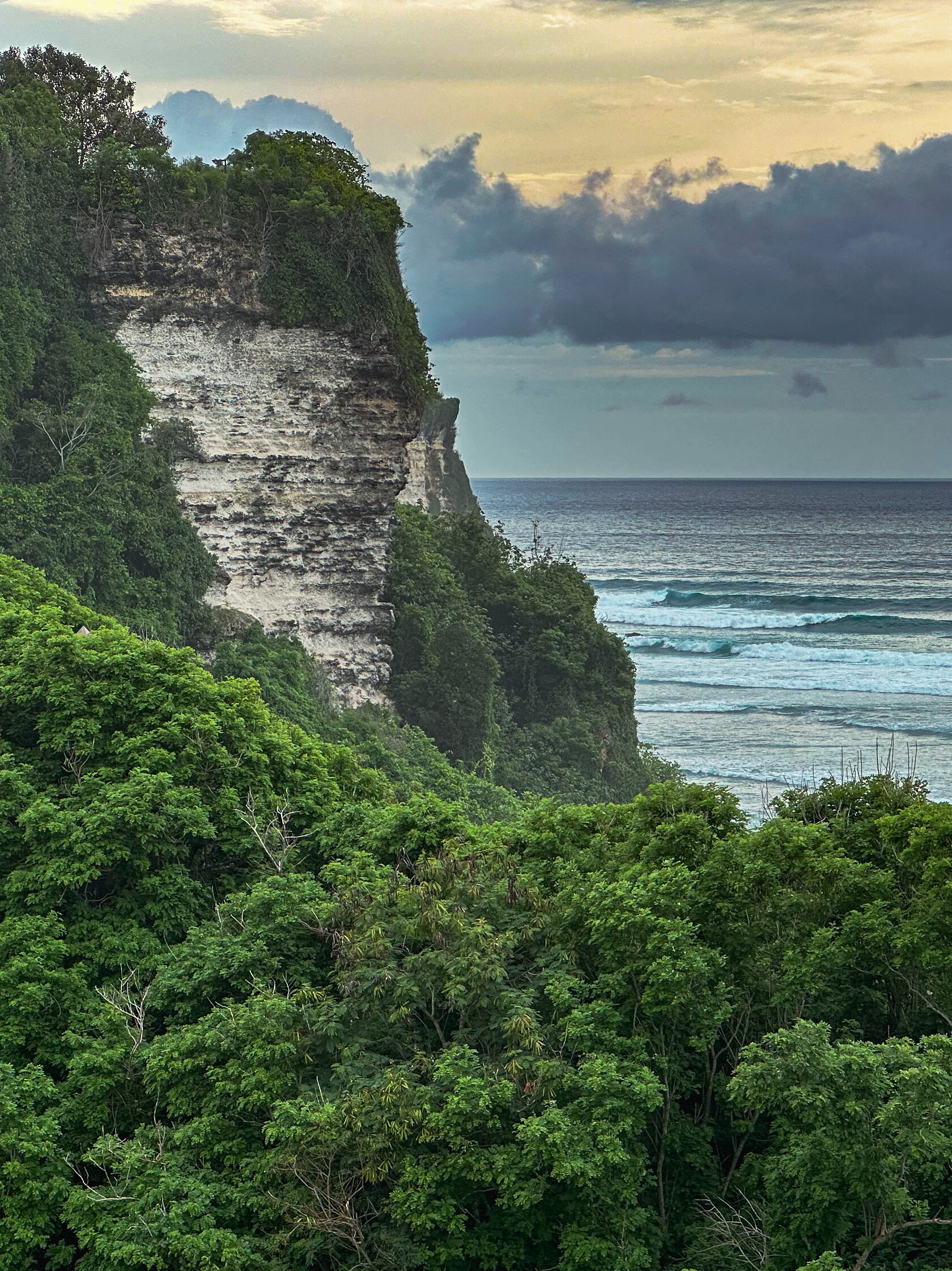 Narrow tropical path leading toward a surf break in Bali, Indonesia