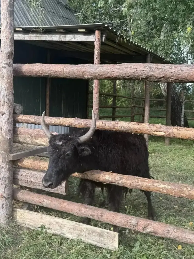 Фотография деревенской избы