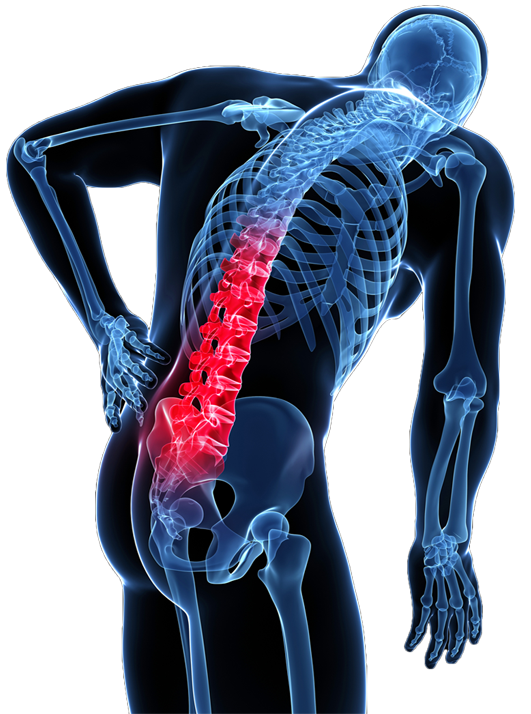 Болит в правом боку при болезнях позвоночника