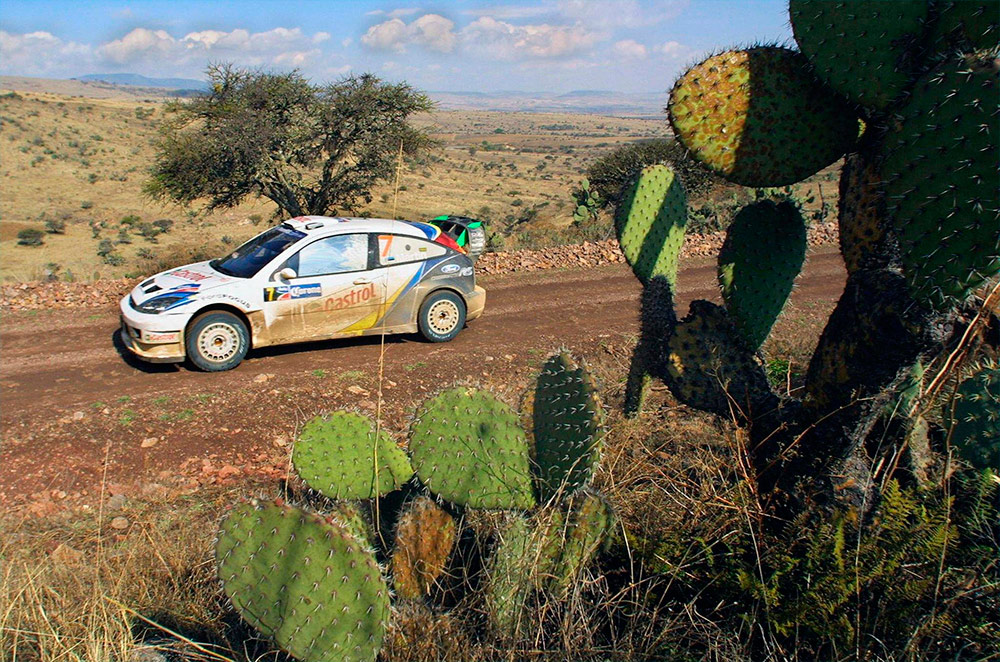 Маркко Мяртин и Майкл Парк, Ford Focus RS WRC '03 (ET53 URO), ралли Мексика 2004