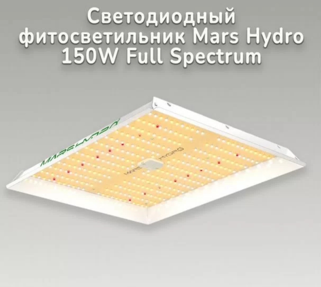 Свет для выращивания рассады