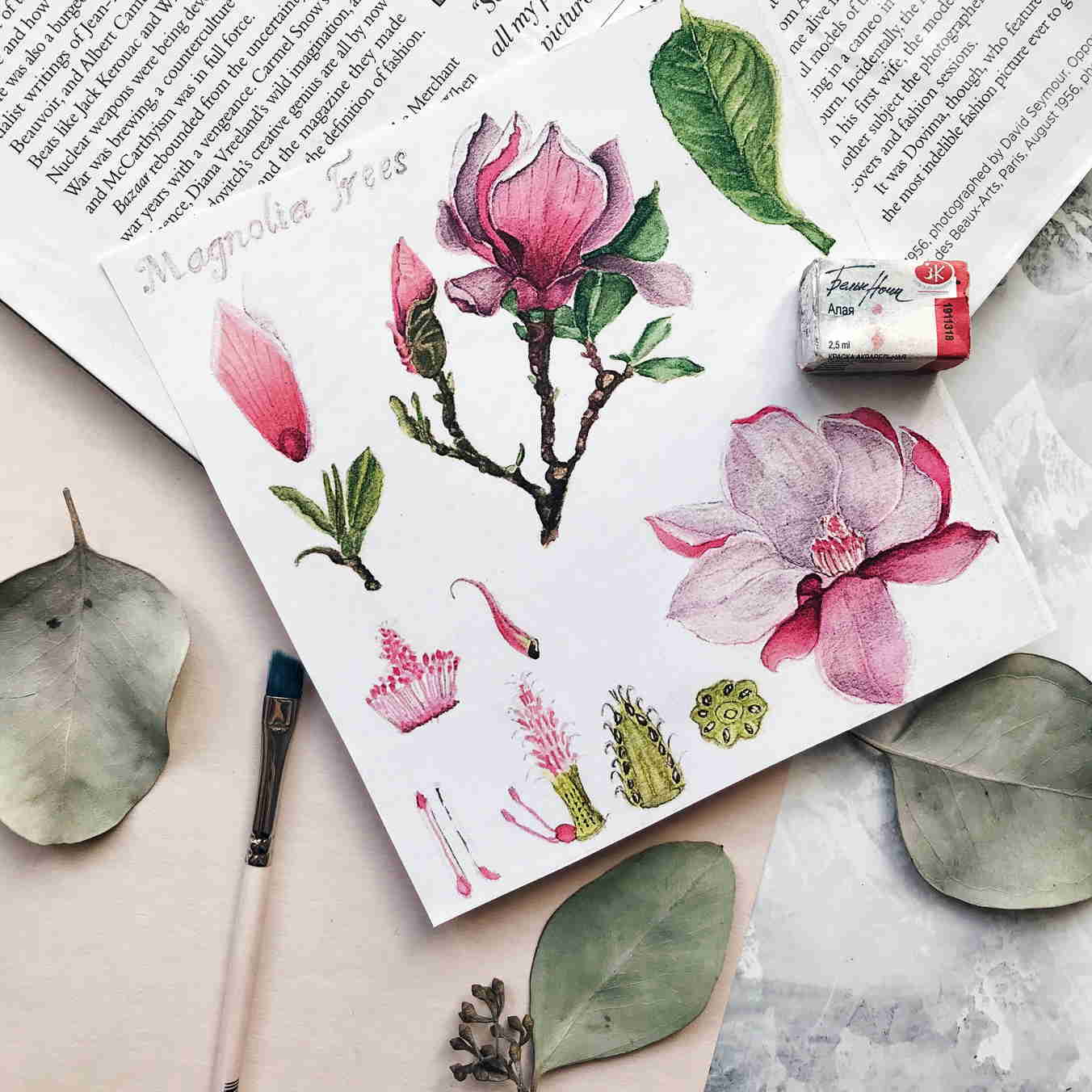 ботаническая иллюстрация акварелью в Одессе