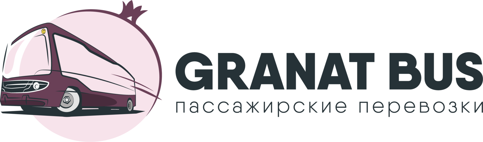 Granat Bus – аренда автобусов в Челнах от 500 р., заказ микроавтобуса за 30  минут