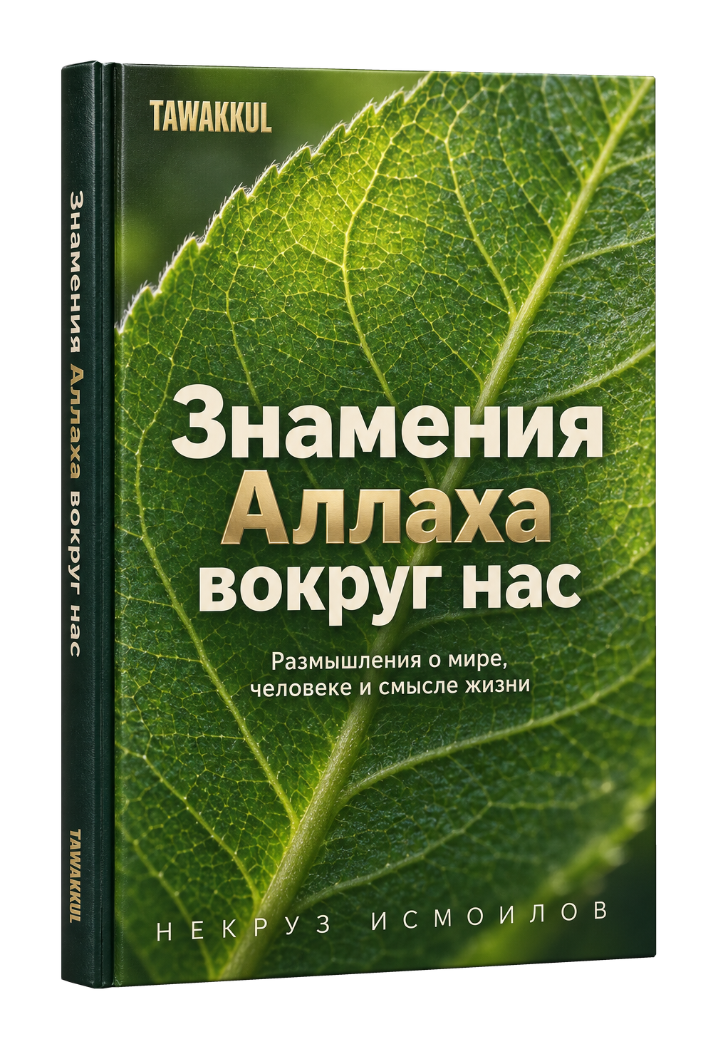 Знамения Аллаха вокруг нас