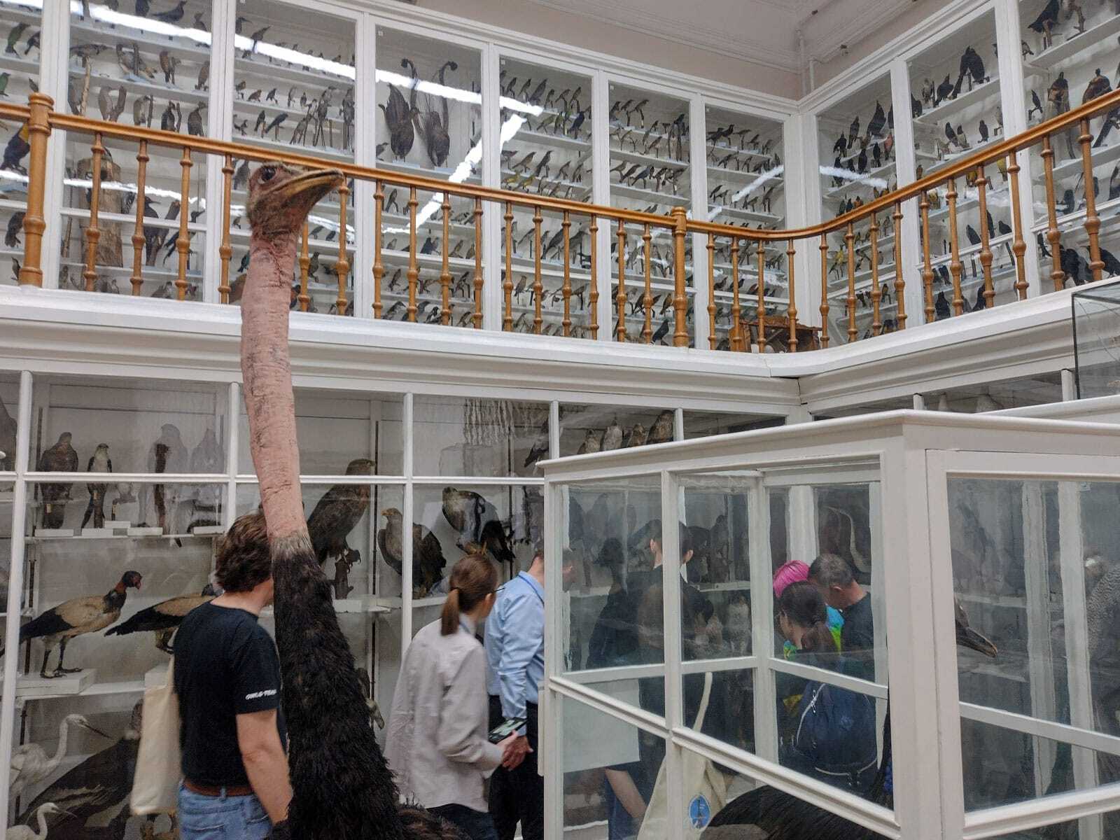 станция кольцевания птиц «Байкальская»