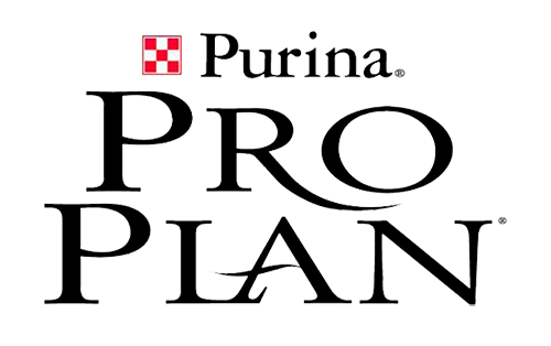 Twiga PR | TWIGA Communication Group