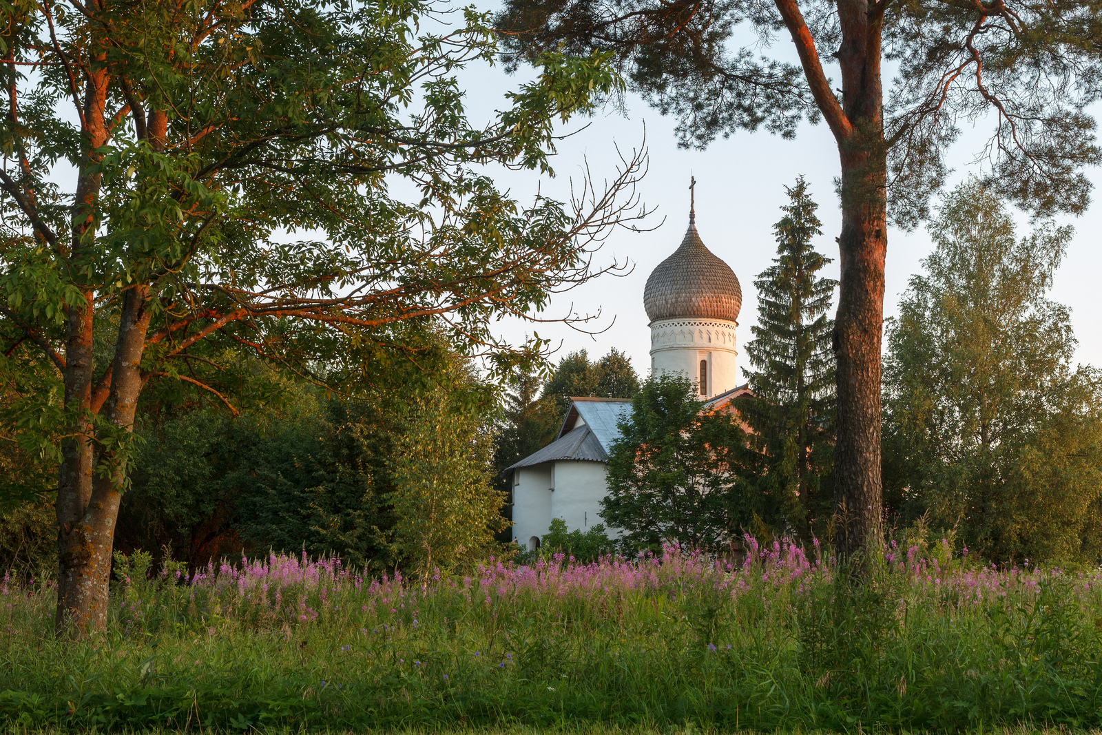 Марево новгородская область фото