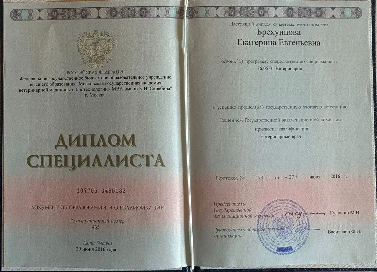 Сертификат SIMAKOV Veterinary Teleradiology за посещение вебинара «Контрастирование в современной ветеринарии»