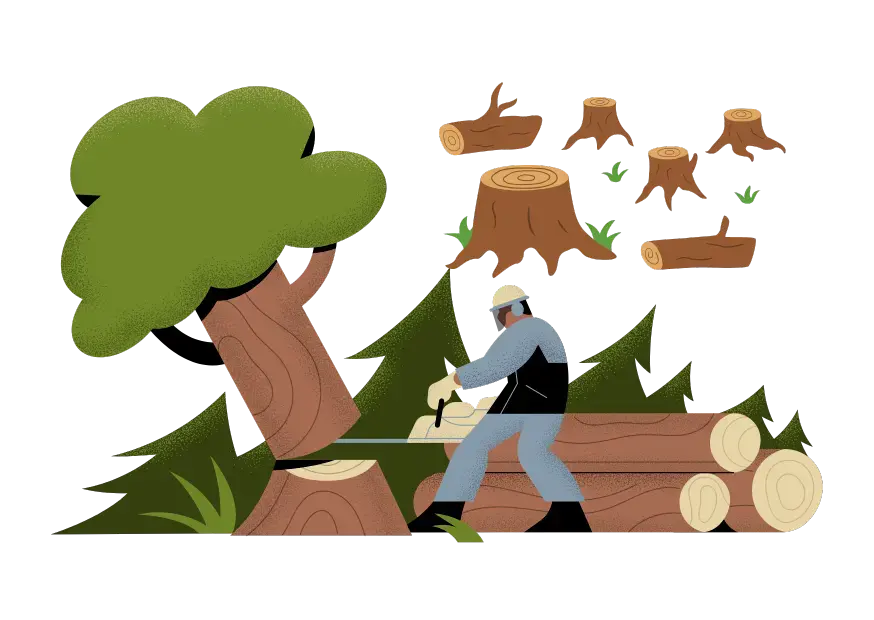 Вырубка лесов