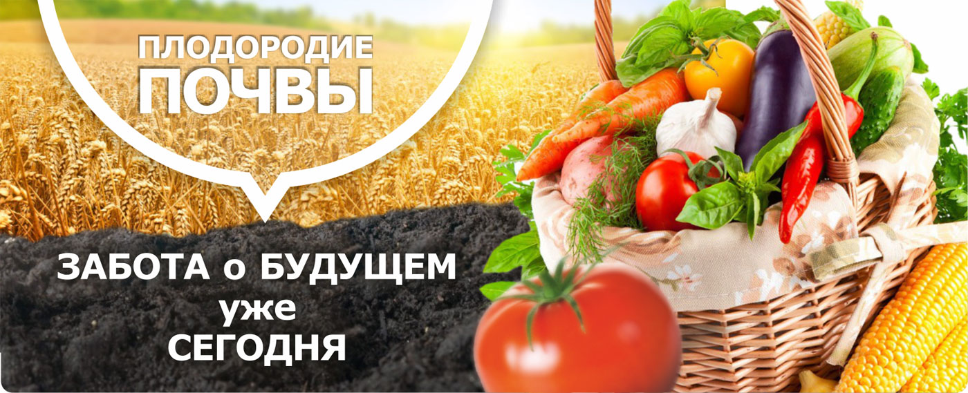 плодородие почвы - забота о будущем