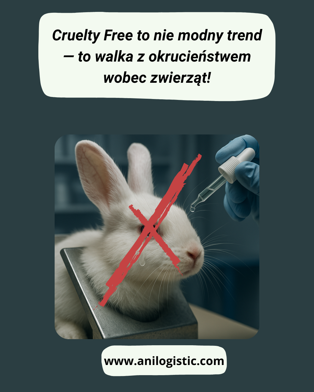 Płaczący królik w laboratorium podczas testów na zwierzętach