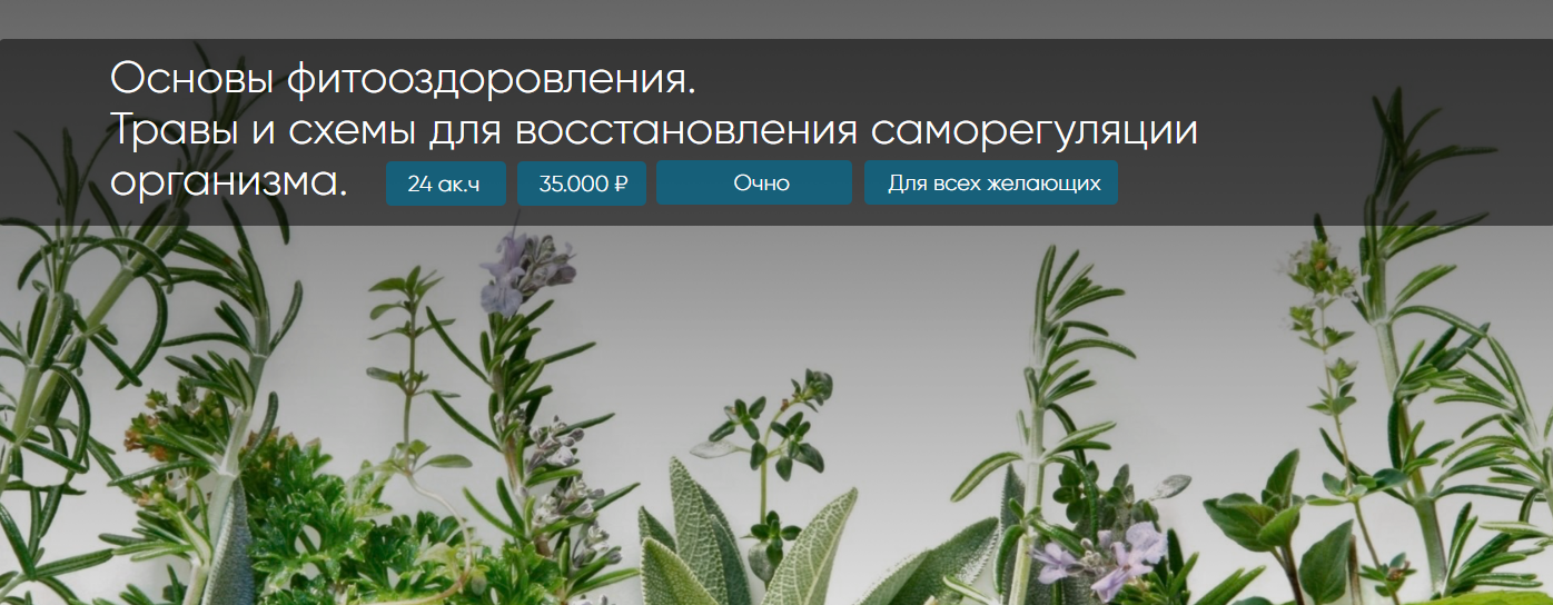 Основы фитооздоровления