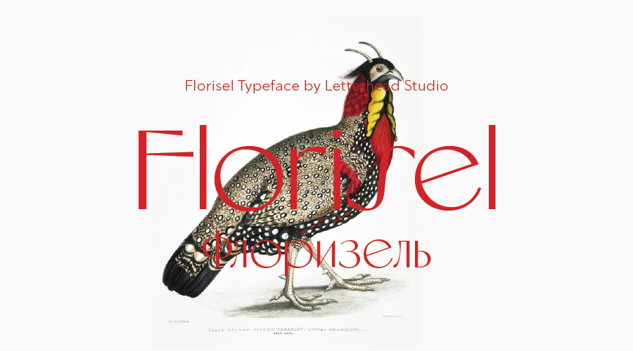 Florisel