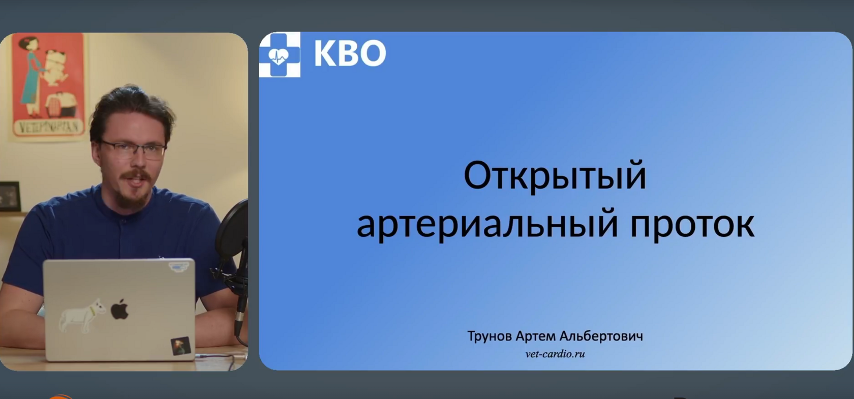 2.8 Открытый артериальный проток собак и кошек