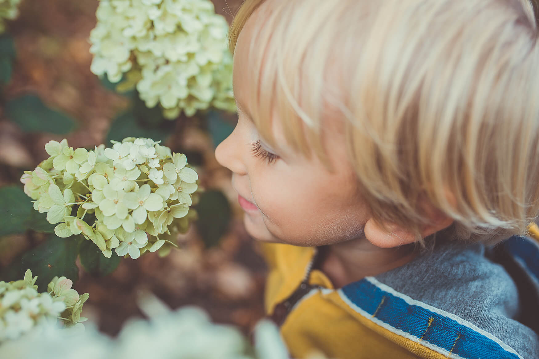 Пермакультура в педагогике