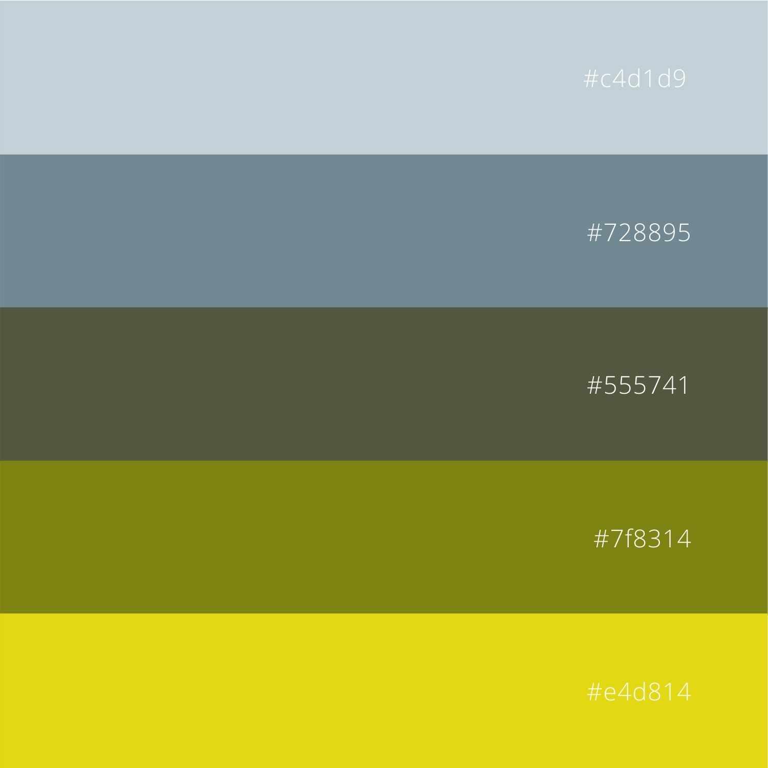 color palette with code