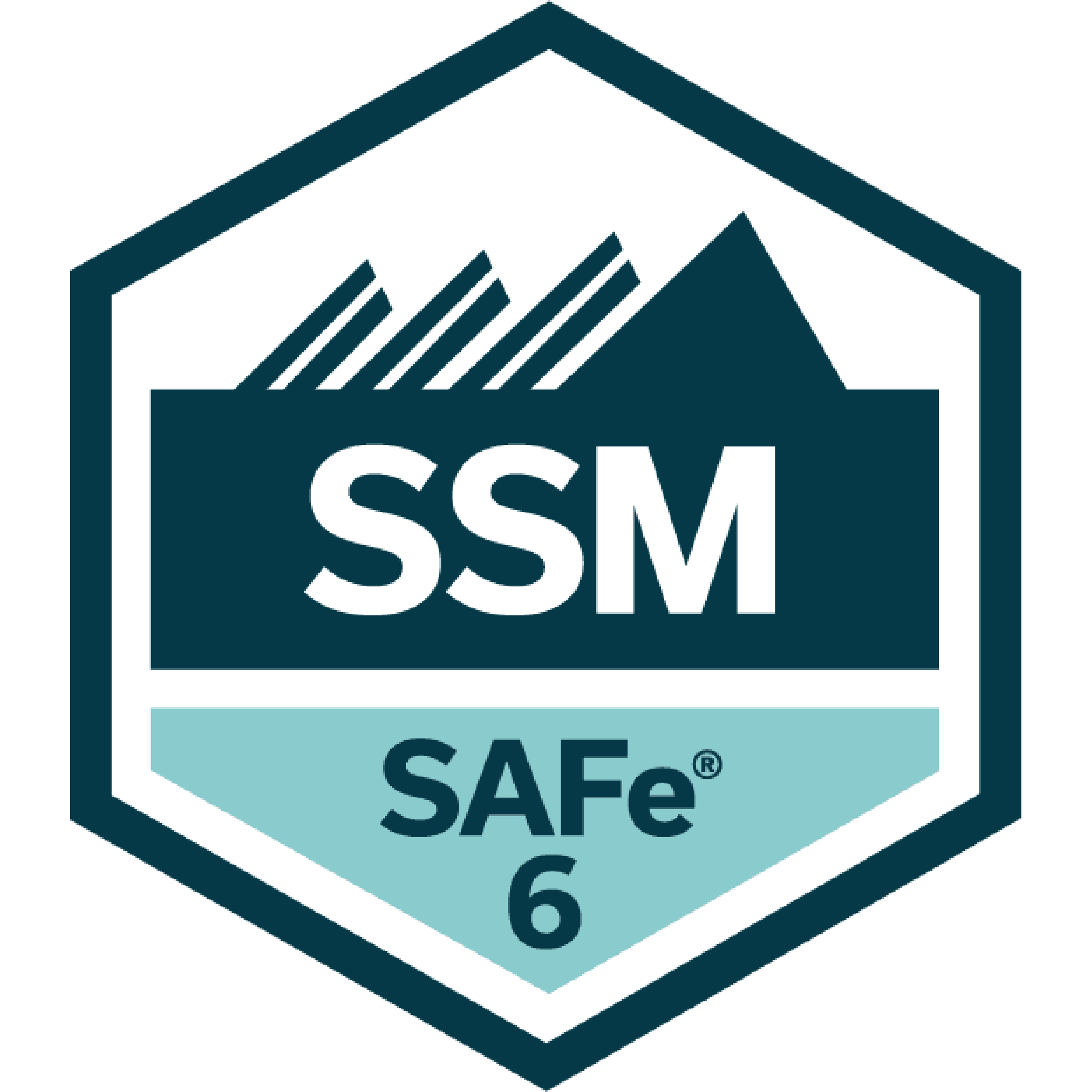  scrum safe certified safe scrum master 