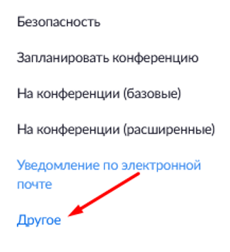 The Other menu item in Zoom account settings