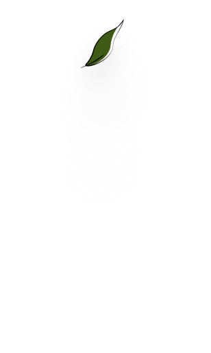 Лекарственная трава, лист зелени