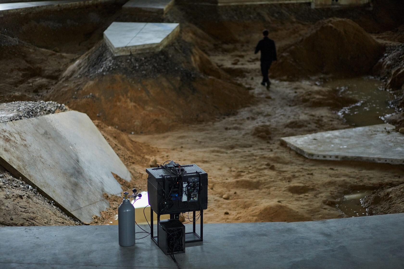 Pierre Huyghe — After ALife Ahead, 2017, Skulptur Projekte Münster